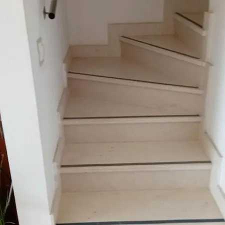 Milan Veliki Drvenik