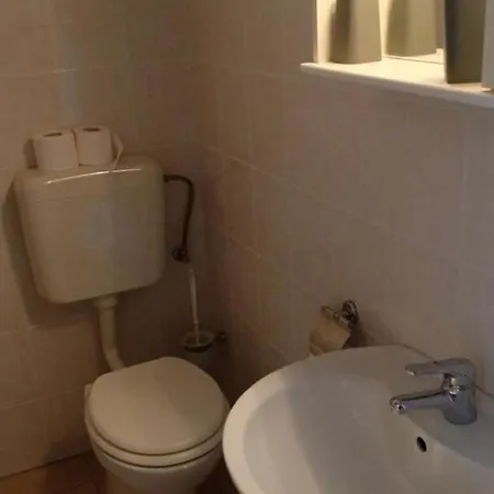 Milan Veliki Drvenik